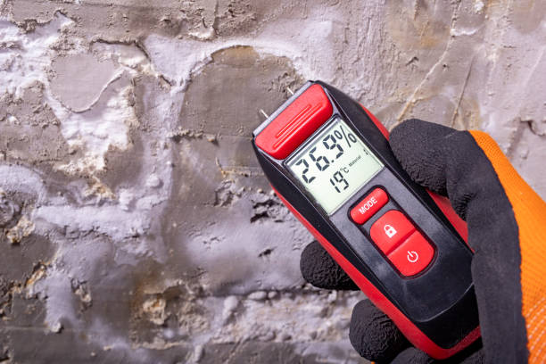 Best Fast Mold Removal  in Clever, MO