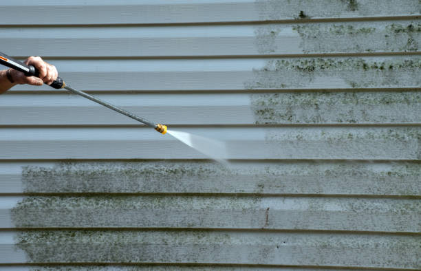 Best Mold Damage Repair  in Clever, MO